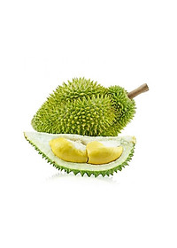 product-img-7