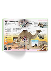 Sách Bách Khoa Cho Trẻ Em – Bách Khoa Tự Nhiên