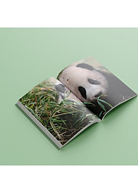 Sách Nhật Ký Hạnh Phúc Của Công Chúa Fubao - Tái Bản