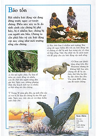 Sách Bách Khoa Động Vật Cho Trẻ Em