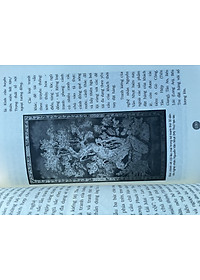 product-img-14
