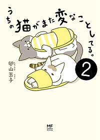 product-img-1
