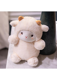 product-img-3