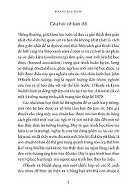 product-img-10