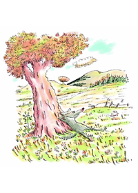 Sói Xám Siêu Xui Xẻo