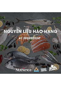 Thức Ăn Tự Nhiên Cho Chó Nutrience Subzero Bao 2,27kg Thịt Gà Tây, Cá Hồi, Cá Trích, Cá Tuyết, Rau Củ & Trái Cây Tự Nhiên