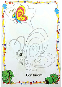 product-img-6