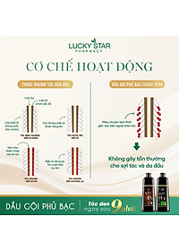 Dầu gội phủ bạc thảo dược cao cấp. Gội là đen LUCKY STAR chiết xuất nhân sâm và thảo mộc tự nhiên. Dầu gội nhuộm tóc giúp tóc đen tự nhiên, khỏe mạnh. Dầu gội đen tóc trong 10 phút ngay tại nhà, phiên bản mới có lược