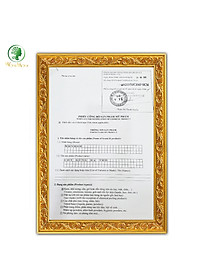 Cốt gừng hạ thổ săn chắc eo sau sinh Wonmom 200ml