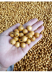 Chiếu hạt gỗ Pơ Mu hạt 1,8cm - Chiếu gỗ Mian.vn ( video , hình thật )