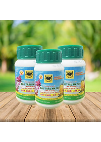 Phân bón 501 Đầu Trâu 100g/hũ - COMBO 3 hũ | Chuyên dùng hoa lan, hoa hồng, bonsai | Đâm chồi bật mầm | Lá xanh, chắc khỏe | Foliar fertilizer