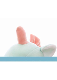 product-img-6