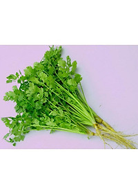 Hạt giống ngò bạc liêu Phú Nông (PN131417) - 20g