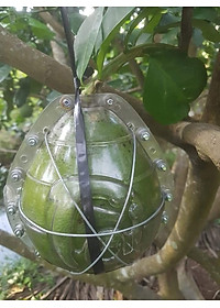 product-img-1