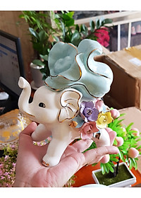 product-img-6