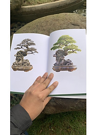 product-img-7