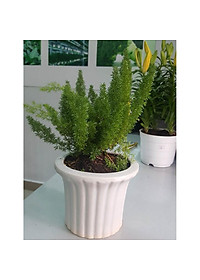 product-img-9