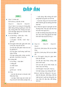 product-img-10