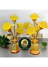 product-img-1
