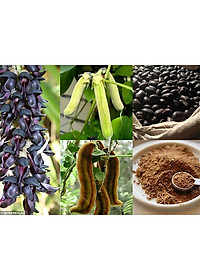 Thực phẩm bảo vệ sức khỏe Khớp khỏe mạnh Teresa Herbs Healthy Joint (lọ 90 viên)