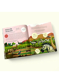 product-img-6