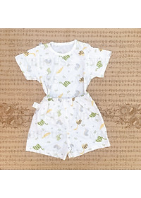 product-img-11