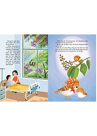 product-img-6