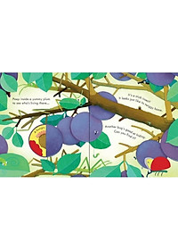 Peep Inside Bug Homes