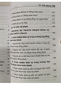 Đồng phạm trong luật hình sự Việt Nam