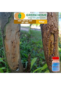 Keo Liền Sẹo Cho Cây Greenhome, Mỹ Tiến, Chai 100gr, Liền Nhanh Vết Cắt Da Cây, Chiết Cành, Tạo Dáng Bonsai, Lan, Kiểng