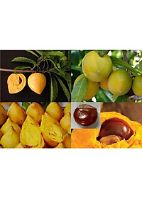 product-img-0
