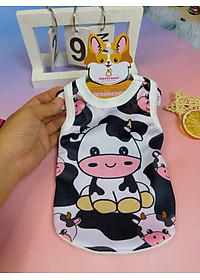 product-img-5