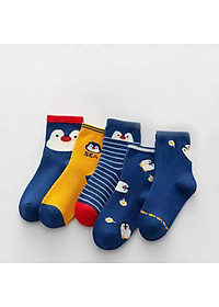 product-img-3