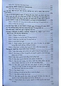 Bộ Luật Hình sự  - Bộ Luật Tố Tụng Hình Sự ( Sửa đổi, bổ sung năm 2025 )
