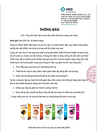 Bravecto diệt ghẻ, ve rận, bọ chét (chó 20 - 40kg)