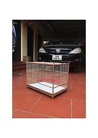 product-img-8