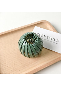 Kẹp búi tóc Hàn Quốc màu trơn bóng- cặp tóc tổ chim màu trơn  ( giao màu ngẫu nhiên như hình )