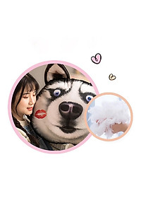 Gối ôm gấu bông chó Husky mặt ngáo - Thú Nhồi Bông - Đồ chơi sang trọng