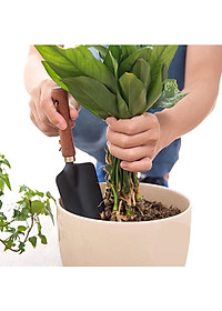 Bộ dụng dụ làm vườn xẻng & cào đất 3 chân Echo - Hàng nội địa Nhật Bản