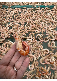 Tôm Khô Tôm Đất Đặc Sản Cà Mau - Hộp 152 GRAM