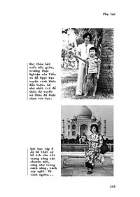 Nhìn lại những thu xanh - Hồi ký Ngô Huy Cẩn, Trần Lưu Vân Hiền - Sách gây quỹ từ thiện cho Quỹ Trò Nghèo Vùng Cao