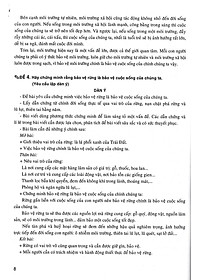 product-img-11