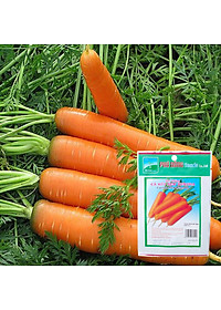 Hạt Giống Cà Rốt New Kuroda Phú Nông