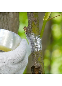 Kéo ghép cành tặng kèm băng keo ghéo cành