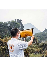 Mật ong rừng Hoa Miền Núi dạng tuýp tiện dụng 130g - 100% mật ong chín Honimore 