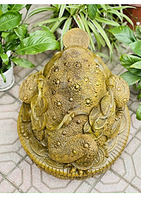 product-img-5