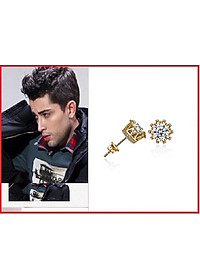 Bông tai nam titant