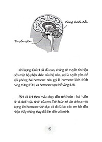 product-img-10