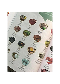 product-img-5