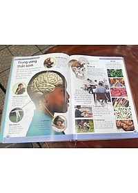 [BÁCH KHOA CHO TRẺ EM] – BÁCH KHOA CƠ THỂ NGƯỜI – MỞ MANG KIẾN THỨC KHƠI DẬY TIỀM NĂNG– tủ sách DK – Đông A – Bìa Cứng in màu toàn bộ